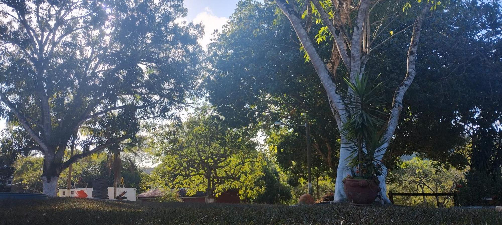 Fazenda Riachao Pojuca Exterior foto